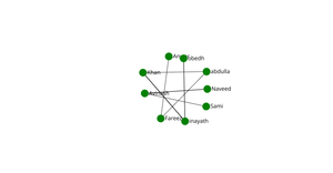 Fork of Network graph of social connection