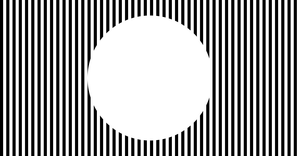 Fork of Sol LeWitt Reproduction
