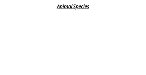 Assignment 2 - Question-1