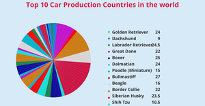 Fork of Fork of Fork of piechart ic7