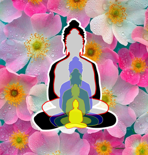 overlapping Buddha