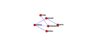 Social Network graphic