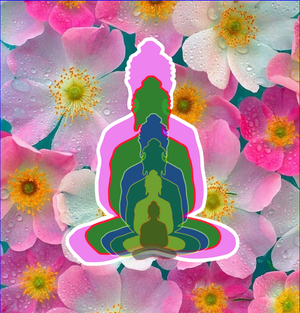 Question 3 - 6 Buddhas