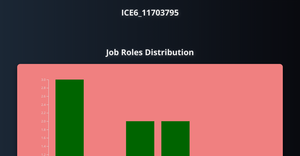 ICE6_11703795