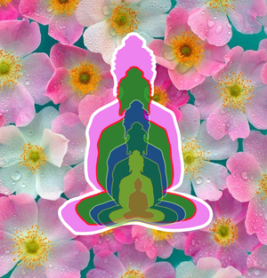6 buddhas
