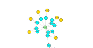 Fork of Force Network