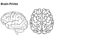 InfoVis Master Task - Brain Prints