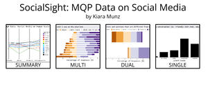 Final Project: SocialSight V2