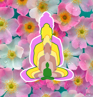 Buddha-6 reflections