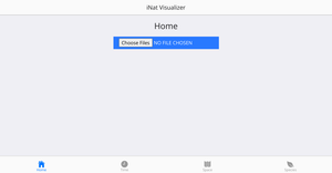 iNat Visualizer