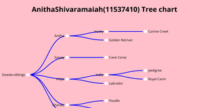 AnithaShivaramaiah(11537410)Tree Chart, ICE-8