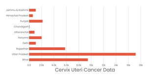 Stylized Bar Chart