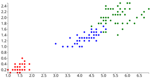 Animals Dataset Scatter Plot