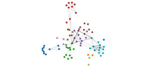 Network
