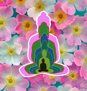 6 Buddhas
