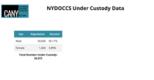 Under Custody
