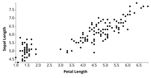 Iris Scatter Plot
