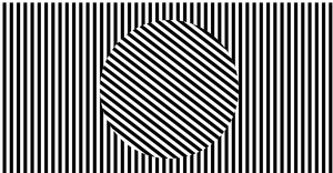 Sol Lewitt Alternative - Rotate Animation