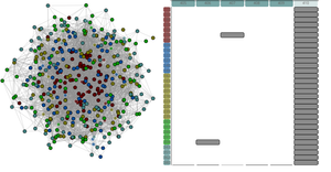 Force Directed Graph