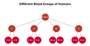Fork of Family Tree by using html