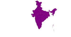 ICE 8 India