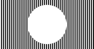 Fork of Sol LeWitt Reproduction