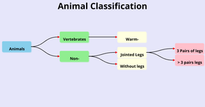 ICE-8 Animal Tree