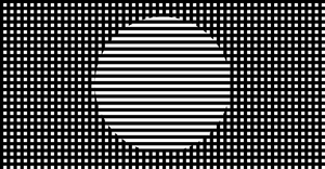 Sol Lewitt Repro Vertical