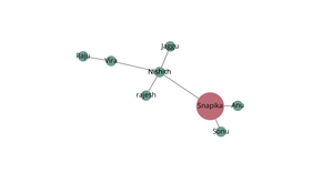ICE 8 Network Graph