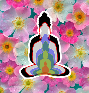 6 BUDDHAS