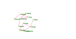 Social Network