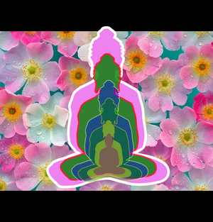 6 Buddhas