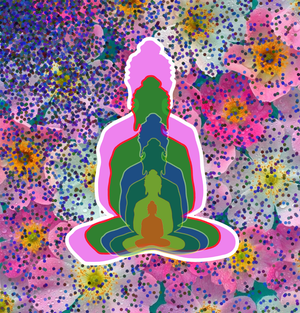 Buddha reflection project