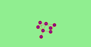 Social Network Graph