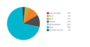 Pie Chart - Nghia Dang