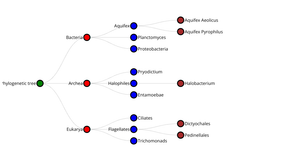 Data Visualization ICE8- Tree Map