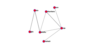 Network Graph