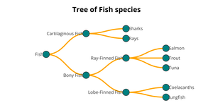 Fork of Fish Family Species