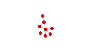 Social Network Graph
