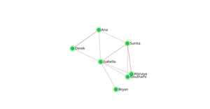 ICE 8 - Social Network