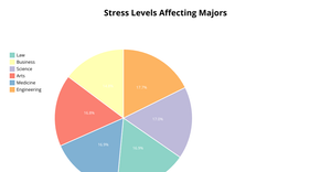 stress levels by major