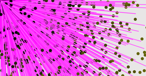 Random Path