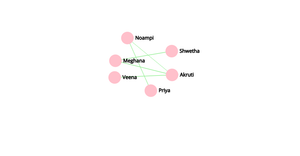 ICE 8 Social Network Graph