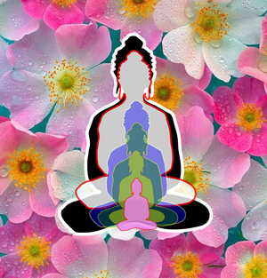 6buddhas