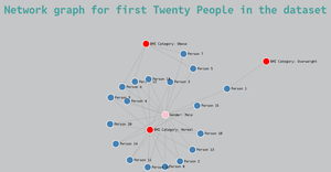 Network Graph Of the project Data