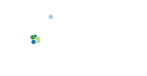 Force Directed Graph - Simple