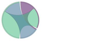 Chord Diagram Using Graph Gallery Edited