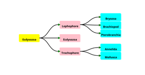 Fork of ICE8 - Family Tree