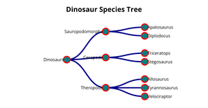 Dinosaur Species