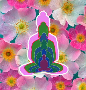 6 Buddhas
